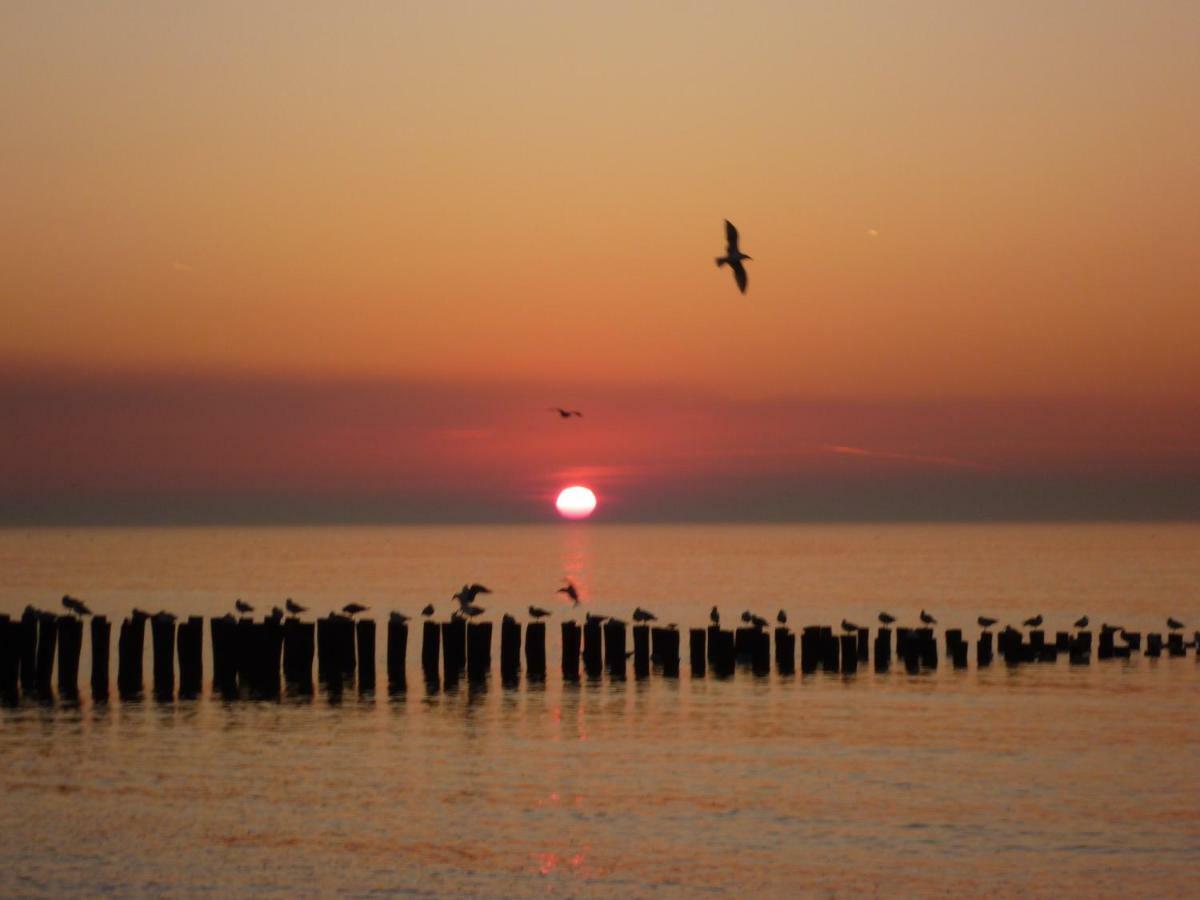 Vakantiehuis Domburg, Kindvriendelijk Do02 Eksteriør billede